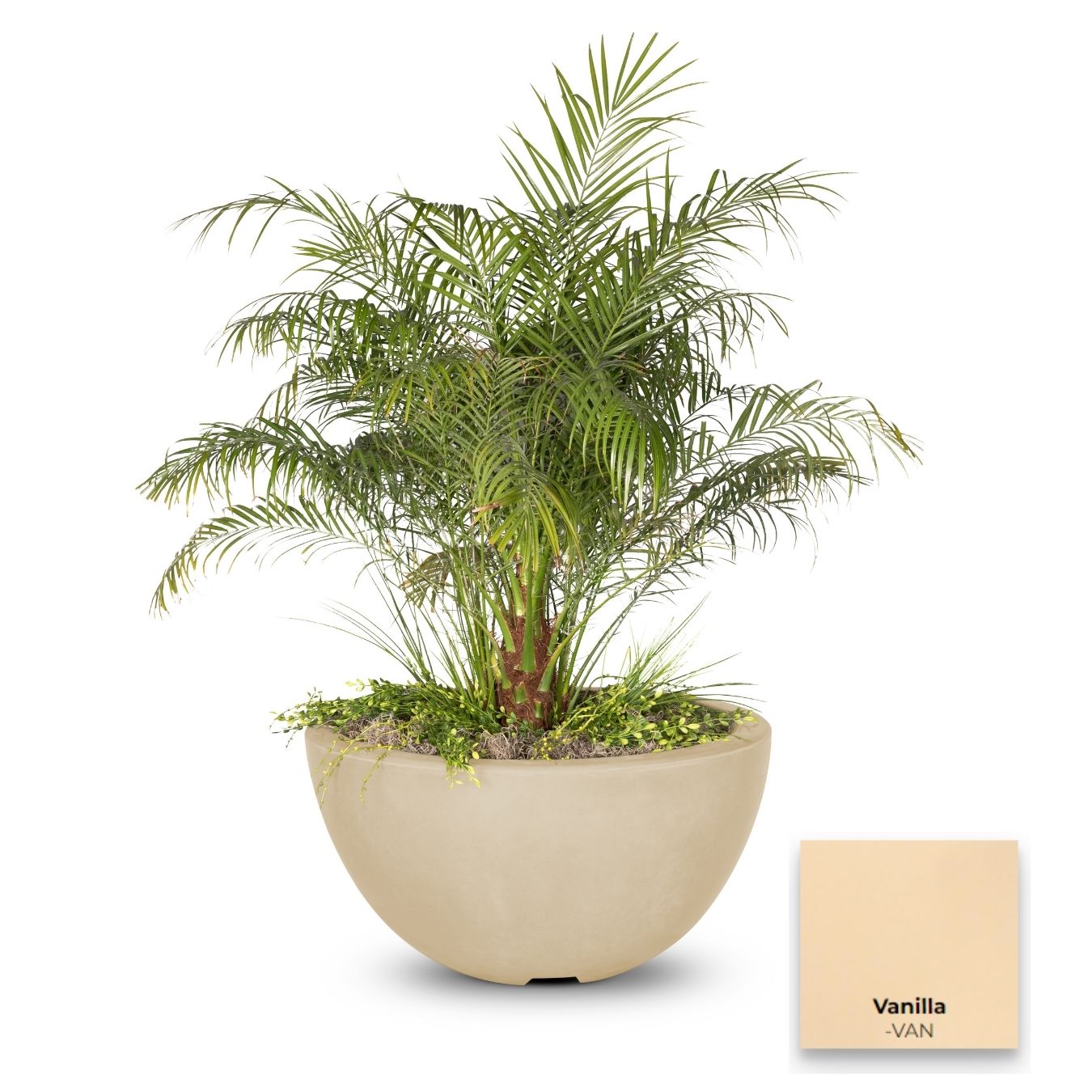 The Outdoor Plus Luna Concrete Planter Bowl | Outdoor Heat Direct