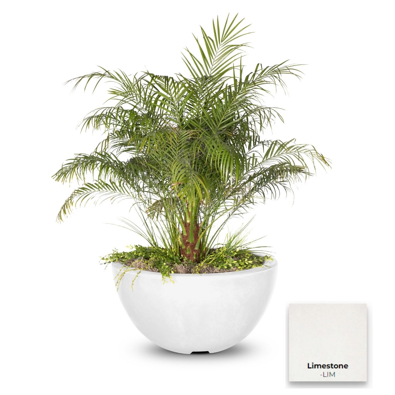 The Outdoor Plus Luna Concrete Planter Bowl | Outdoor Heat Direct