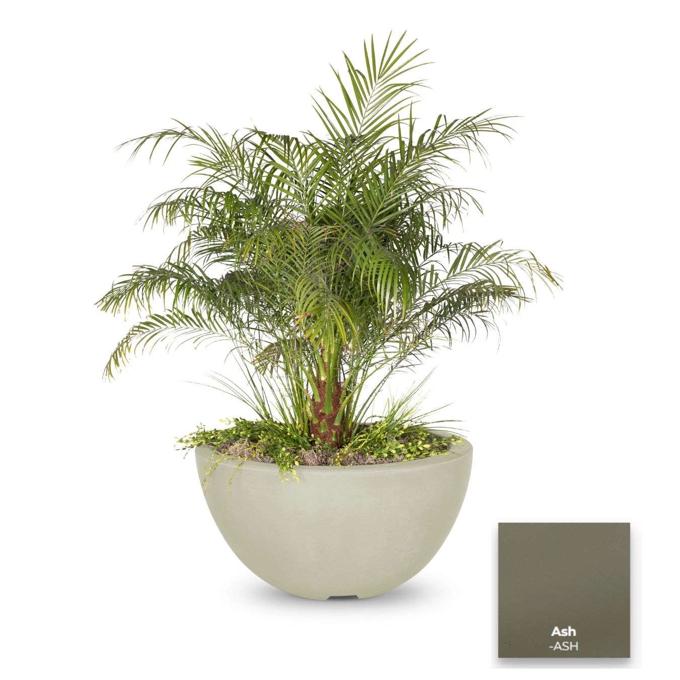 The Outdoor Plus Luna Concrete Planter Bowl | Outdoor Heat Direct