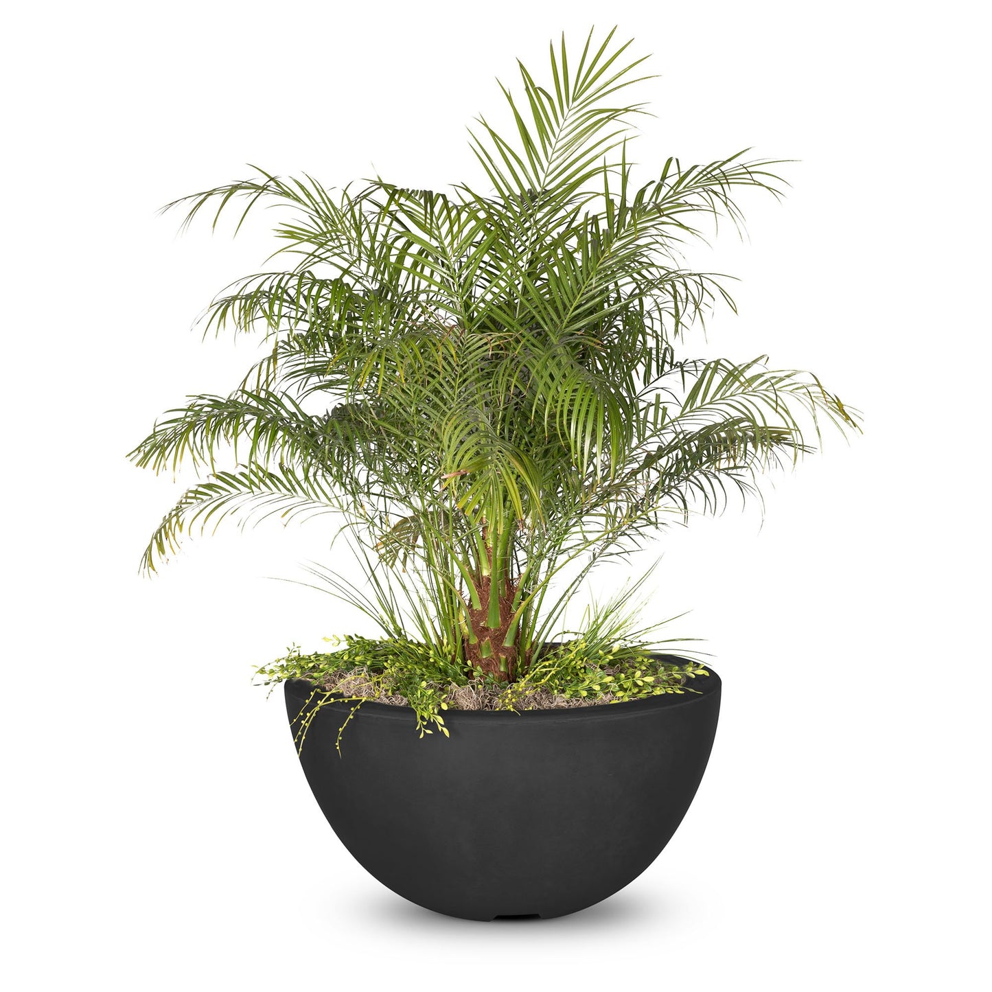 The Outdoor Plus Luna Concrete Planter Bowl | Outdoor Heat Direct