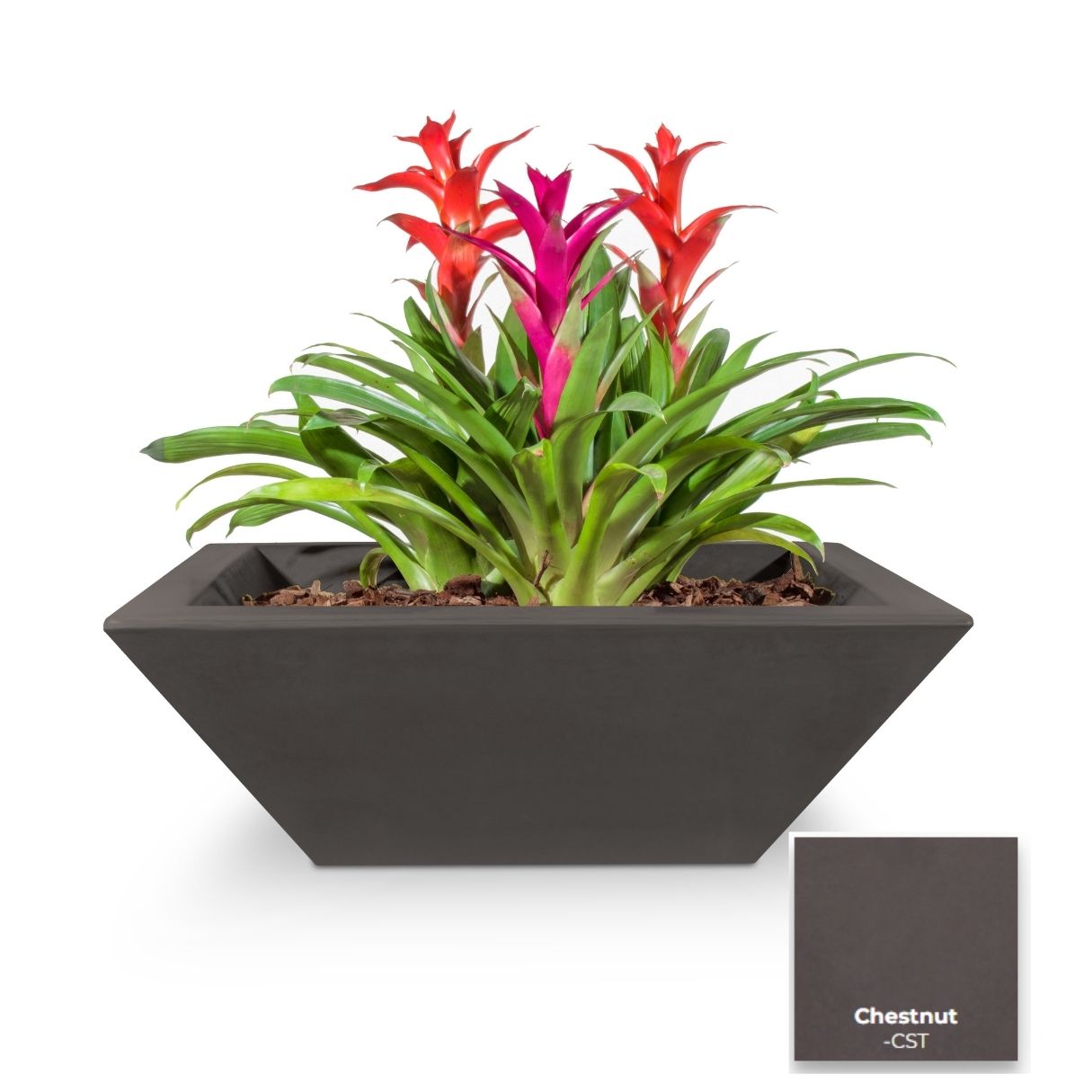 Maya Concrete Planter Bowl [The Outdoor Plus]