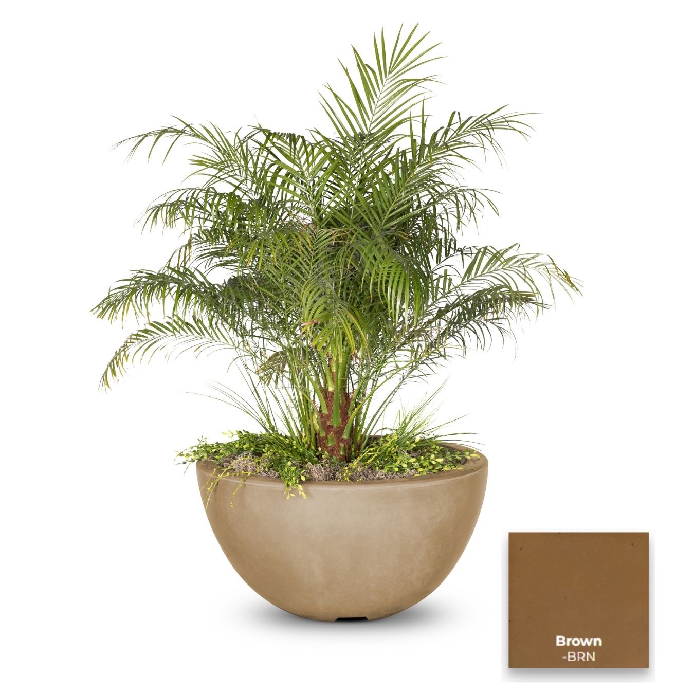 The Outdoor Plus Luna Concrete Planter Bowl