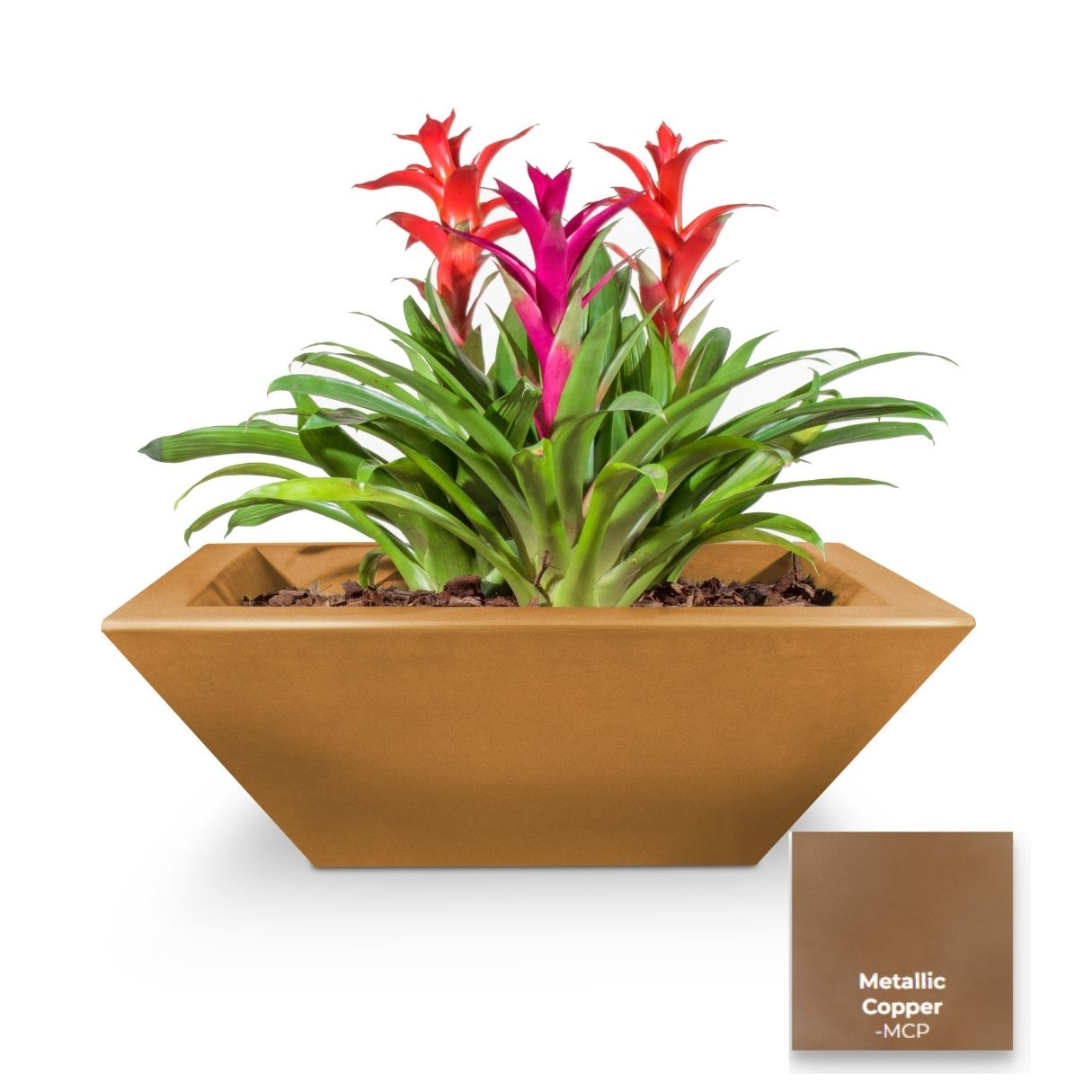 Maya Concrete Planter Bowl [The Outdoor Plus]