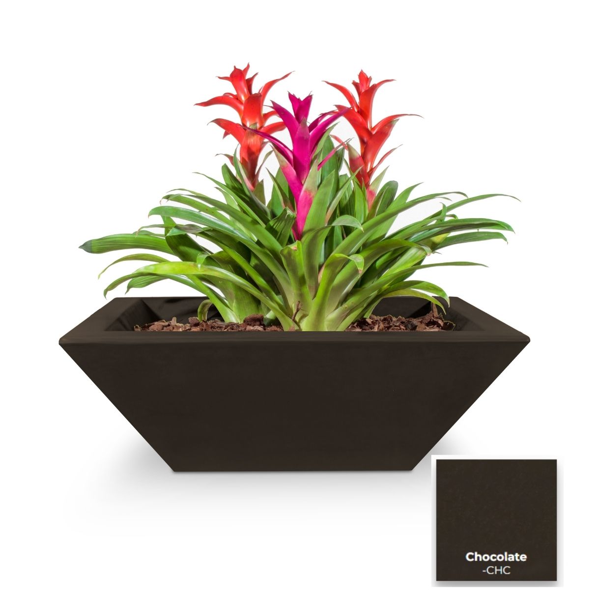 Maya Concrete Planter Bowl [The Outdoor Plus]