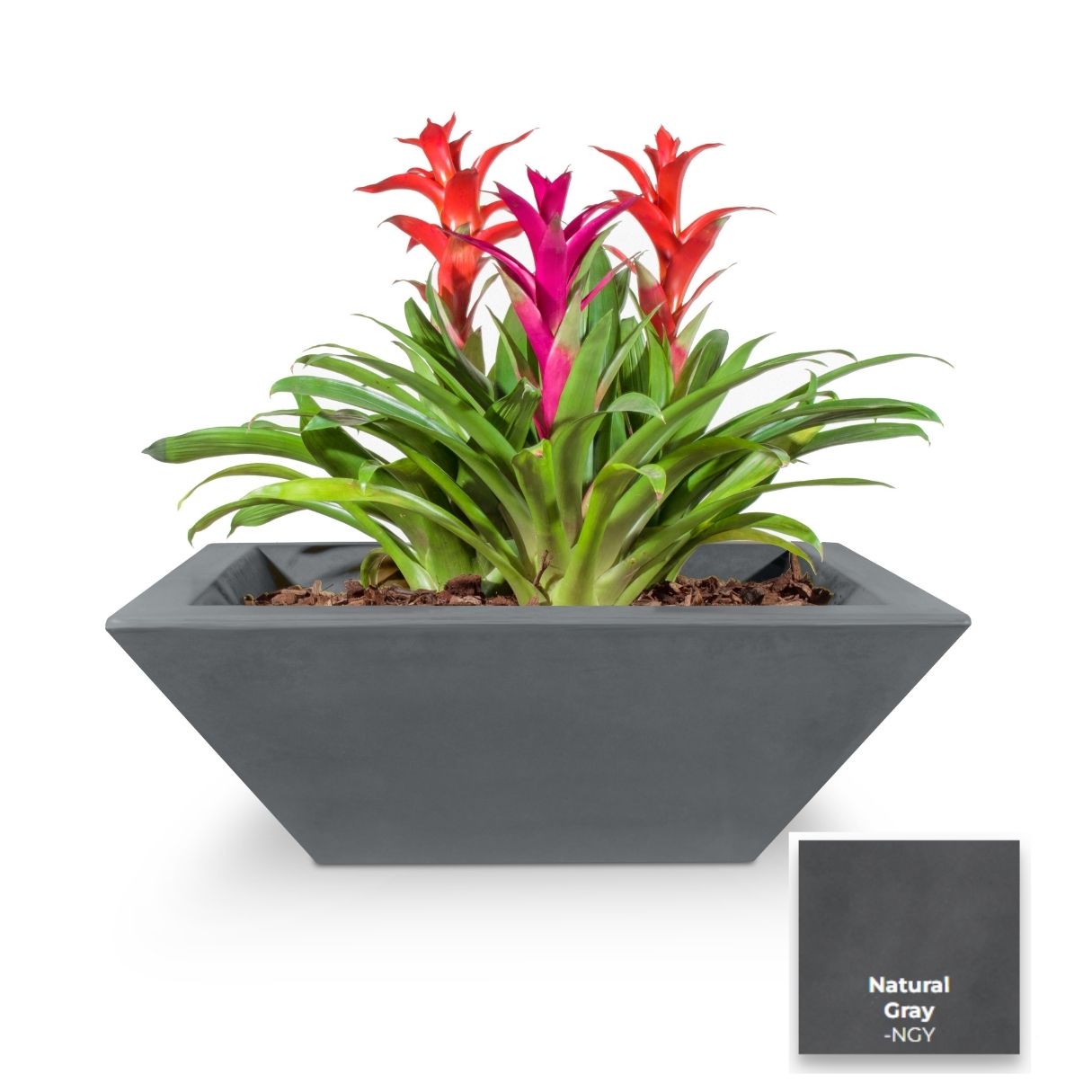 Maya Concrete Planter Bowl [The Outdoor Plus]