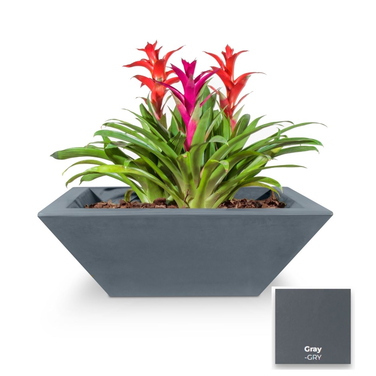 Maya Concrete Planter Bowl [The Outdoor Plus]