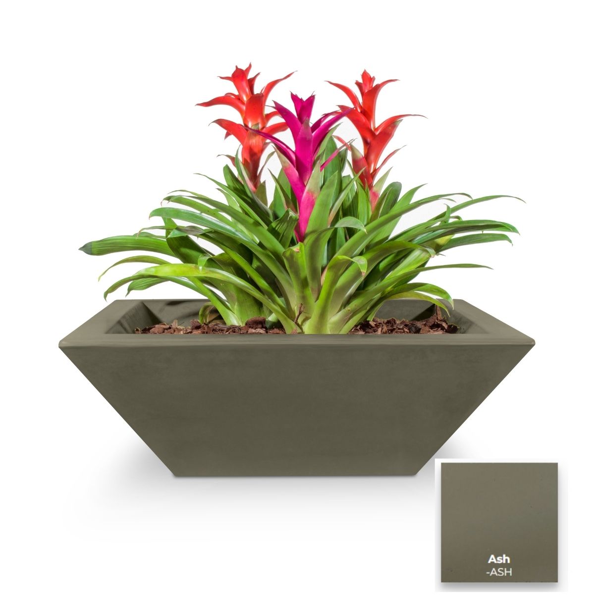 Maya Concrete Planter Bowl [The Outdoor Plus]