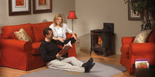 Load image into Gallery viewer, Napoleon Arlington Series Stoves