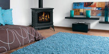 Load image into Gallery viewer, Napoleon Knightsbridge Series Stoves