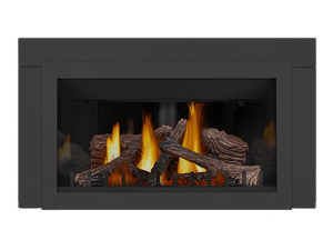 Napoleon Inspiration Series Fireplace