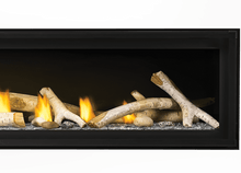 Load image into Gallery viewer, Napoleon Luxuria Series Fireplace