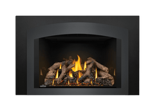 Load image into Gallery viewer, Napoleon Oakville Series Gas Fireplace