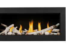 Load image into Gallery viewer, Napoleon Vector Series Fireplace
