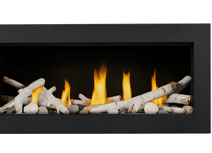 Napoleon Vector Series Fireplace