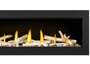 Napoleon Vector Series Fireplace