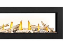 Load image into Gallery viewer, Napoleon Vector Series Fireplace